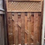 Snapinsta.app_373683255_3545050812382172_5744026638718273102_n_1080