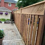 Snapinsta.app_374239332_262831609973530_2994028862894921149_n_1080