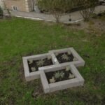 341176282_916789272904732_1113907335808110495_n